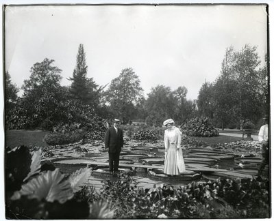 Horizontale, zwart-wit foto van een man en een vrouw die op reuzenwaterlelies staan in de vijver van Tower Grove Park. door Charles Clement Holt